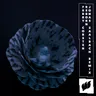 Reborn - Jonas Saalbach Remix cover art
