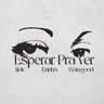 Alok, Evinha & Watzgood - Esperar Pra Ver by Alok cover art