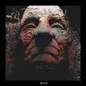 Delusion cover art