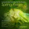 Spring Reign - Antidote Instrumental cover art