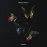 Pegasus - Droplex Remix cover art