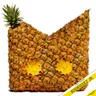 Piña Colada cover art