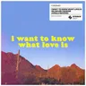 I Want To Know What Love Is - BLOND:ISH Sunrise Jungle Extended Rework by Blond:ish cover art