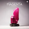 Magenta - Fisherman Remix by Ferry Corsten cover art