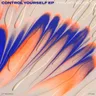 Control Yourself - Radio Edit by Franky Rizardo cover art