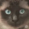 Hypnotic Beat - Chus & Ceballos Remix cover art