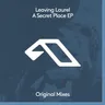 A Secret Place (edit) cover art
