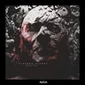 Strange Planet cover art