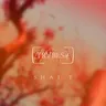 Storyteller by Shai T cover art