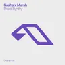 Dead Synthy by Marsh cover art