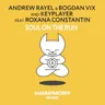 Soul on the Run (progressive mix) by Andrew Rayel cover art