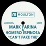 Can't Fake The - Original Mix by Mark Farina cover art