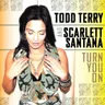 Turn You On (Tee's Inhouse mix) by Todd Terry cover art