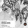 Bright Hope - Nicholas Van Orton Remix cover art