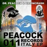 Trip To Texas - Original Mix by Dr. Peacock cover art
