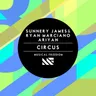 Circus - Original Mix cover art