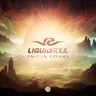 Only in Dreams - Original mix by Liquid Soul cover art