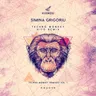 Techno Monkey - Hito´s Monkey in the Jungle Remix cover art