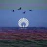 Packard - Nora En Pure Extended Mix cover art
