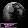 Why? cover art
