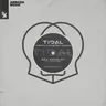 Tidal - Extended Mix by Ferry Corsten cover art