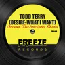Desire (What I Want) [Groove Technicians Remix] by Todd Terry cover art