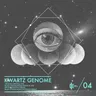 Black Cromosome - Jose Pouj Remix cover art