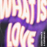 What Is Love by Eden Prince cover art