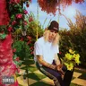 the grass wasn’t greener by Beowülf cover art