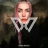 Dark Woods - Extended Mix cover art