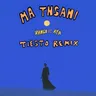 Ma Tnsani (Yalla Habibi) (Tiesto extended remix) by Vanco cover art
