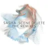 Cassette Sessions D (Throwing Snow remix) cover art