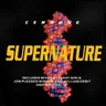 Supernature - Original Cerrone 12" Mix by Cerrone cover art
