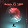Dawn in Port - NOISYE PROJECT Remix by Antrim cover art