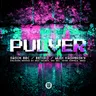 Pulver cover art