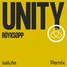 Unity - salute Remix cover art