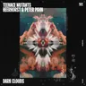Dark Clouds by Teenage Mutants cover art