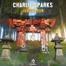 Jungle Run by Charlie Sparks cover art
