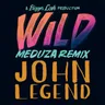 Wild - MEDUZA Remix by Meduza cover art