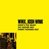 How's the Music by Josh Wink cover art