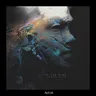 Lift the Wire by Roman Adam cover art