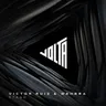 Silo cover art