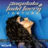Torture by Todd Terry cover art
