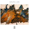 Hope - Ric Niels Remix cover art