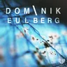 Noch ein Bass im Ärmel by Dominik Eulberg cover art