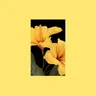 Lovin' Sun cover art