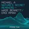 Nature's Secret - Wade Bennett Remix cover art