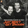 Just Won't Get Enough (pro mix) cover art