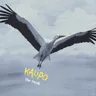 The Stork by Kalipo cover art