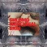 Mercurial Skin by Shlømo cover art